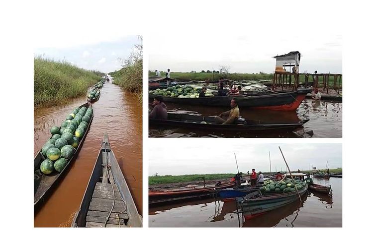 Video deretan perahu yang mengangkut hasil panen semangka menarik perhatian netizen. Aktivitas ini terjadi di Desa Baruh Jaya, Daha Selatan, Kalimantan Selatan.