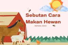 15 Sebutan Cara Makan Hewan dalam Bahasa Jawa