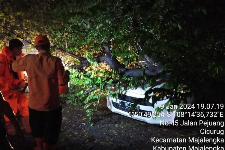 Sejumlah petugas BPBD Kabupaten Majalengka membersihkan material pohon tumbang yang menimpa mobil di Kelurahan Cicurug, Selasa (9/1/2024) malam.