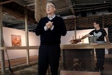 Bill Gates Akan Sumbangkan 100.000 Ekor Ayam untuk Warga Miskin Afrika