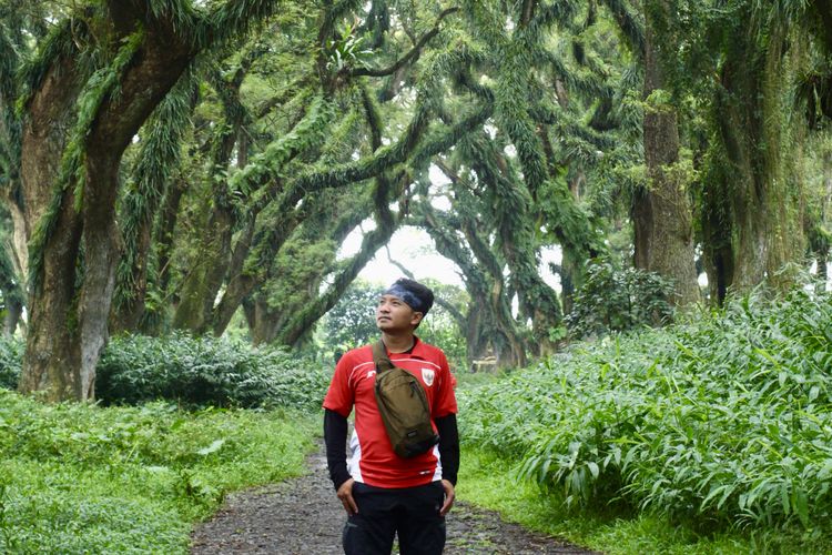 Wisatawan Berfoto di De Djawatan Forest Banyuwangi.