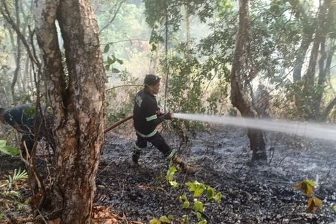 Kebakaran Semak Belukar, Warga Padamkan Api dengan Alat Seadanya