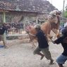 Sapi Kurban Jokowi di Blora Mengamuk Sebelum Disembelih, Warga Sempat Lari Ketakutan