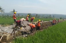 Sasar 12.000 Lokasi, Ini Progres Pekerjaan Padat Karya Tunai Irigasi