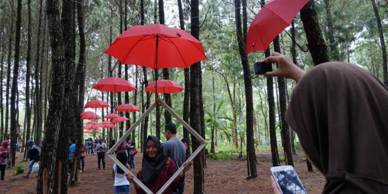 Salah satu spot foto favorit dengan payung merah di Hutan Pinus Songgon, Banyuwangi, Jawa Timur.  