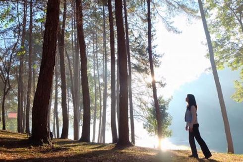 Melancong ke Thailand, Yuk Berburu Kabut di Mae Hong Son  