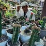 Kaktus Mini Warna-warni, Hobi yang Membantu Kahar 