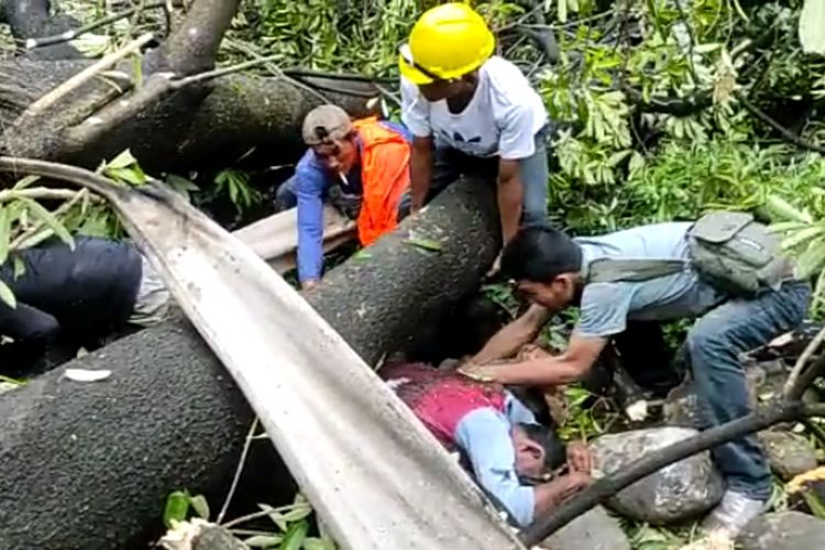 Dua orang buruh bangunan, Suwandi (25) dan Agus Daeng Ngitung (51) warga Desa Bonto Biraeng, Kecamatan Pallangga, Kabupaten Gowa berhasil selamat setelah tertimpa pohon besar di depan Kantor Pengadilan Negeri Makassar.