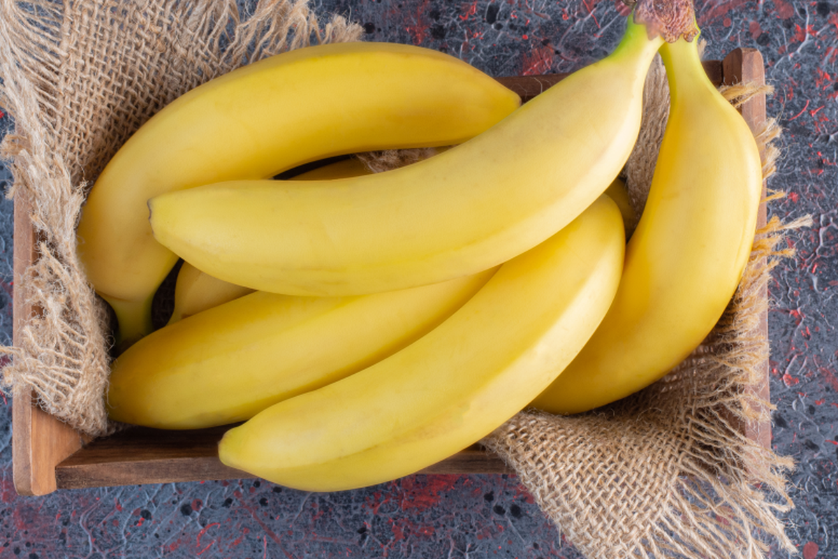 Ilustrasi buah pisang yang sudah dipanen