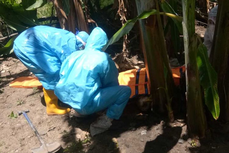 Jenazah seorang wanita yabg ditemukan membusuk di Kabupaten Wajo, Sulawesi Selatan dievakuasi dan dimakamkan dengan proalsedur covid-19. Selasa, (14/4/2020).