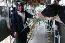 Kinal Eks JKT48 Habiskan Masa Remaja di Jalan Tol