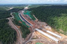 Tol IKN Punya Jembatan Penyebrangan Orangutan hingga Bekantan