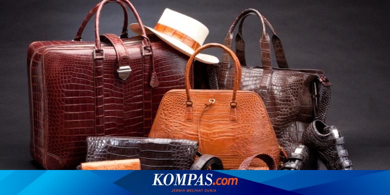 Cara Menghilangkan Noda Di Tas Kulit