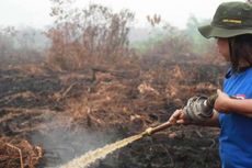 Diduga Terlibat Pembakaran Hutan, Perusahaan Asal China dan Australia Disidik Polri