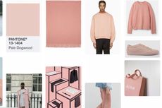 Mengenal Millenial Pink, Warna yang Jadi Obsesi Dunia Desain