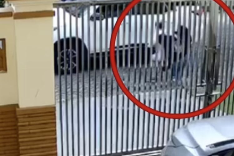 Polisi Tangkap Dua Pelaku Percobaan Penculikan Lansia di PIK Jakut