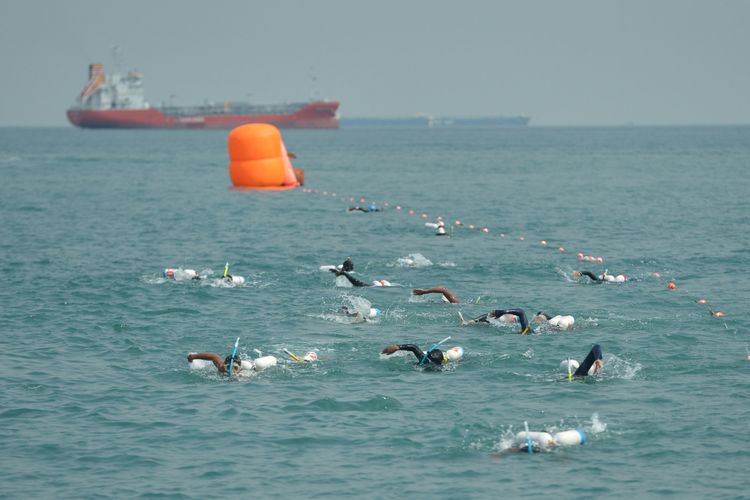 Peserta berenang menuju titik finis pada lomba renang dan dayung melintasi Selat Sunda yang diselenggarakan oleh Korps Marinir di Tanjung Sekong, Cilegon, Banten, Sabtu (3/3). Lomba renang dan dayung melintasi Selat Sunda dengan jarak tempuh 39 km dari Bakau Jaya Bakauheni, Lampung, menuju Tanjung Sekong, Banten, tersebut dalam rangka memperingati HUT ke-72 Korps Marinir. 