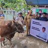 Gareng, Sapi 1,4 Ton Dibeli Jokowi untuk Hewan Kurban di Sorong