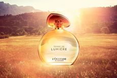 Menangkap Keindahan Cahaya Matahari Sore dalam Sebotol Parfum