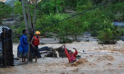 Tak Ada Deforestasi, tapi Longsor Datang: Ada Apa dengan Sumatera?