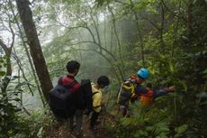 Tips Mendaki Gunung Parang