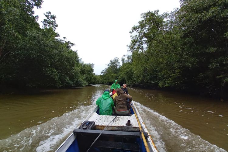 Salah satu sungai kecil yang ada di kawasan mangrove Delta Mahakam saat disusur menggunakan perahu milik nelayan setempat.