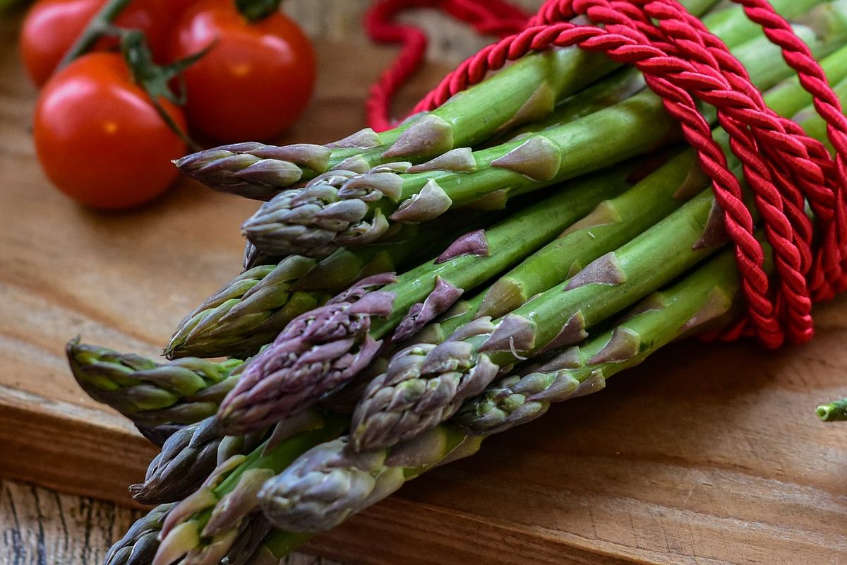 Ilustrasi asparagus.