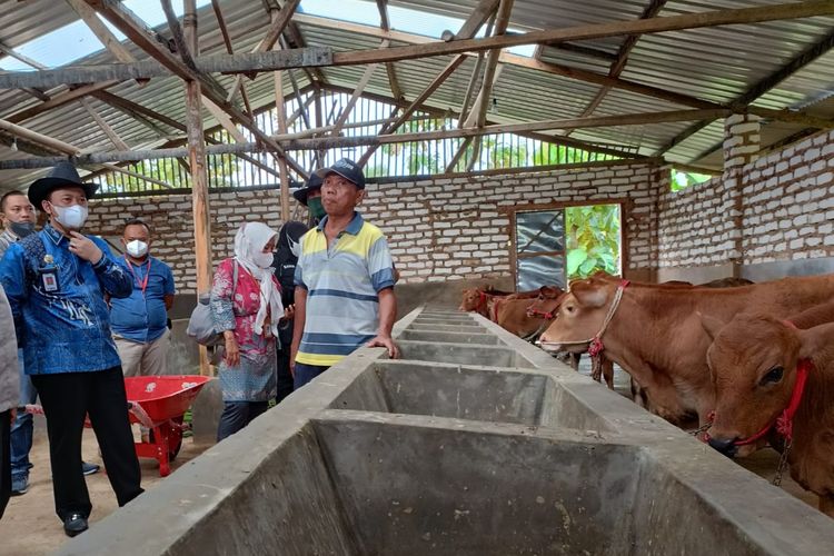 Dinas Ketahanan Pangan dan Peternakan (DKPP) Kabupaten Sumenep, Jawa Timur, saat memantau hewan ternak di Desa Batudinding Kecamatan Gapura, Sumenep, Jumat (13/5/2022). 