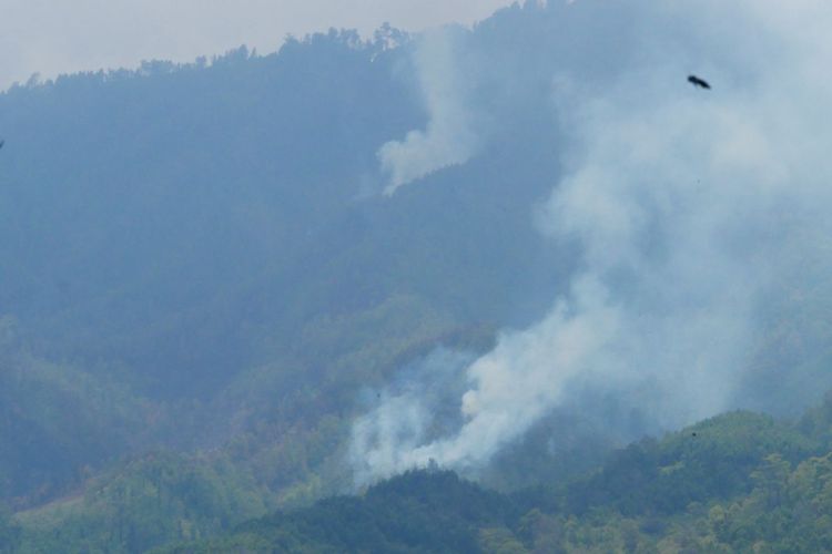 Kebakaran di TNBTS Lumajang, dilihat dari Ranupani, Sabtu (14/10/2023)