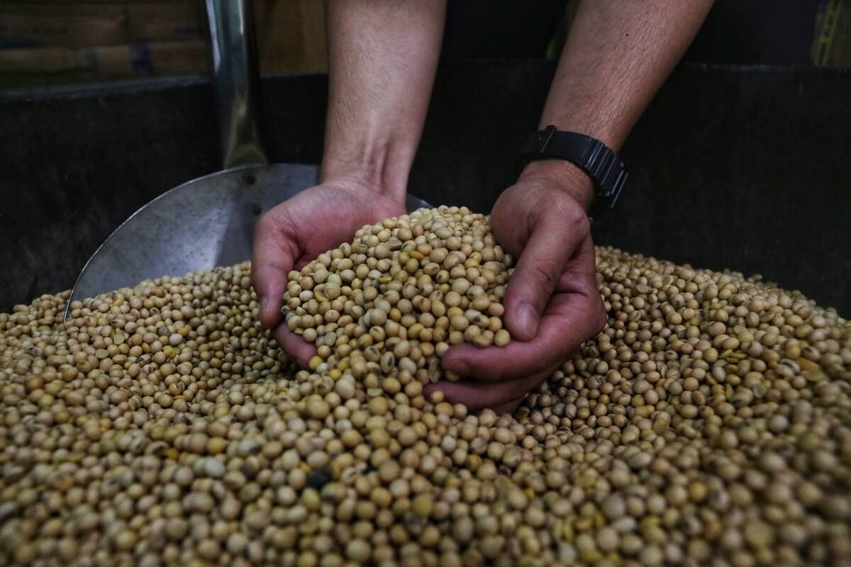 Pengrajin tahu dan tempe di Kabupaten Bandung yang tergabung di Kopti tidak akan mengikuti aksi mogok Nasional pada Senin (17/10/2922) mendatang, terkait kenaikan harga kedelai yang melambung tinggi.