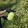 Pestisida pada Sayur dan Buah, Apa Bahayanya?