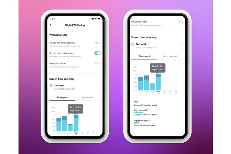 Screen time control aplikasi TikTok