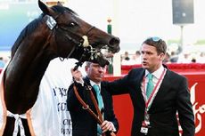 Owen Memperoleh Trofi Piala Dunia dari Kuda