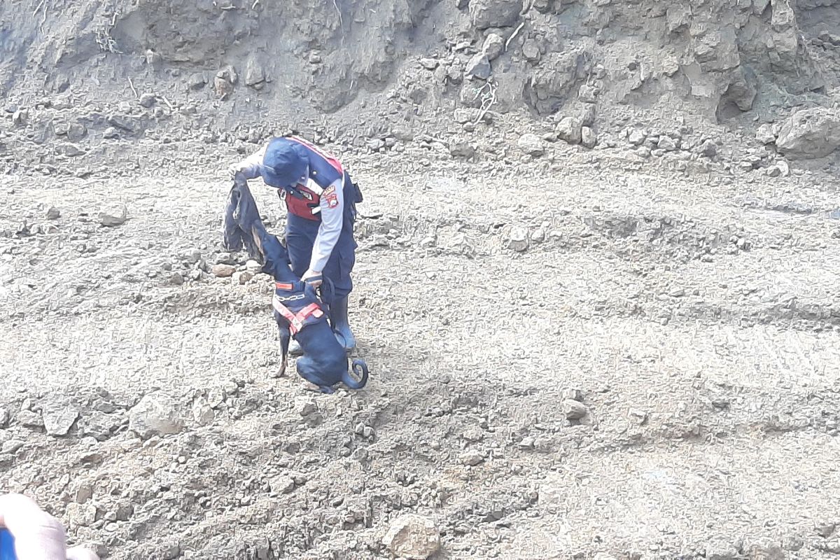 Anjing K9 mendeteksi bau dari pakaian yang pernah digunakan korban longsor, Rabu (5/6/2024)