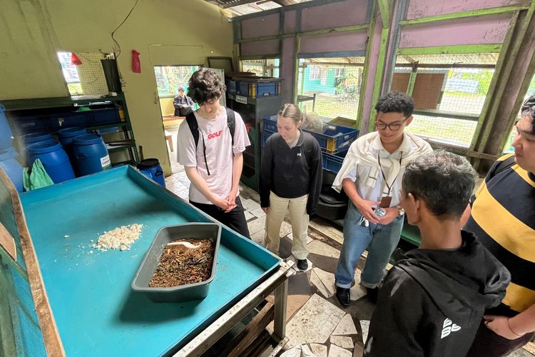 Mahasiswa Kanada Jauh-jauh ke Bogor, Ternyata Ingin Belajar Olah Sampah dengan Maggot