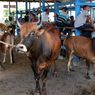 Qurban Animal Trade Thrives Online in Indonesia amid Covid-19 Pandemic