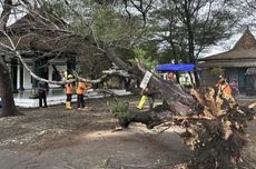 Mengintip Dampak Cuaca Ekstrem di Kulon Progo, Puluhan Rumah Rusak Tertimpa Pohon