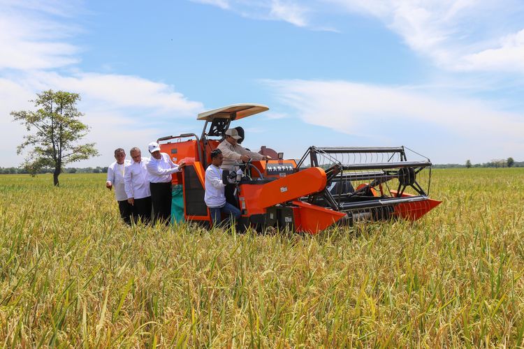 Deflasi Beras Tekan Inflasi Oktober 2025, Mentan Amran: Bukti Sinergi Lintas Sektor