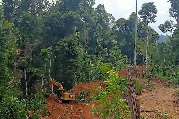 Polisi dan tim patroli gabungan amankan alat berat beroperasi di dalam kawasan hutam diduga membuat kebun kelapa sawit di Kabupaten Mukomuko, Bengkulu.