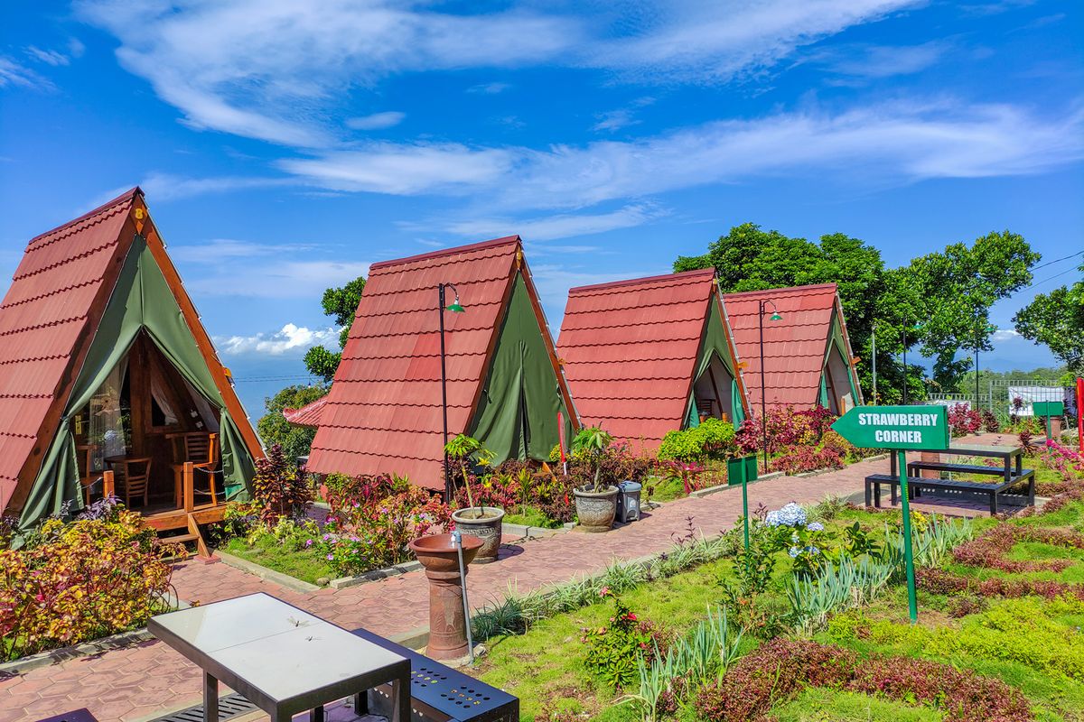 Girimanik Mountain Camp Wonogiri yang ada di dataran tinggi dengan udara sejuk dan panorama indah.