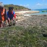 Petani Rumput Laut di NTT Merugi Ratusan Juta akibat Proyek Dermaga PLTU Timor 1