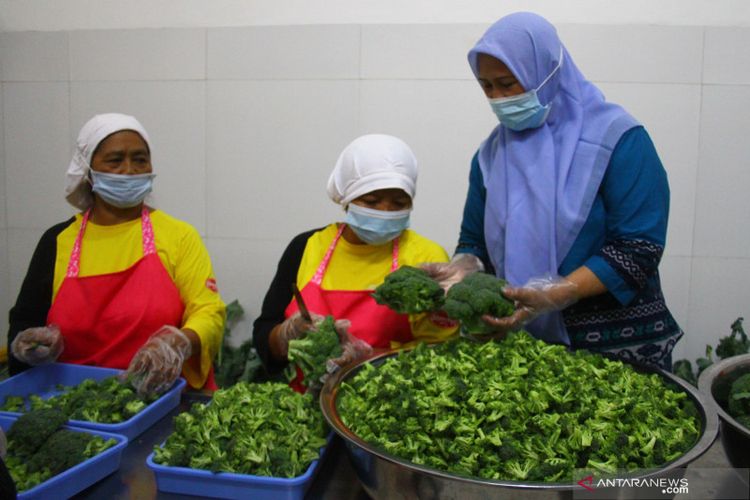 Pengusaha keripik Hari Mastutik (kanan) mengecek hasil irisan sayur brokoli yang dilakukan pekerjanya di rumah produksi keripik Momchips di Batu, Jawa Timur, Selasa (17/8/2021). 