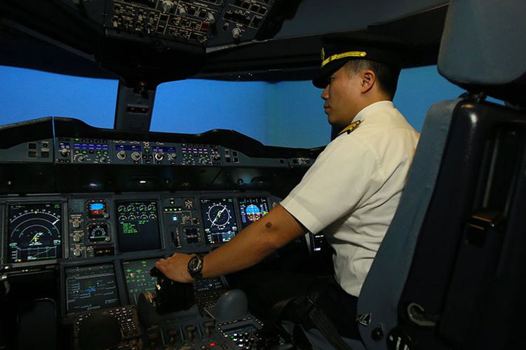 Flight Simulator SIA