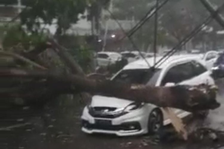 Pohon yang sedang parkir di Jalan A Yani Kecamatan Kaliwates Jember tertimpa pohon saat hujan deras disertai angin pada Rabu (27/10/2021) 