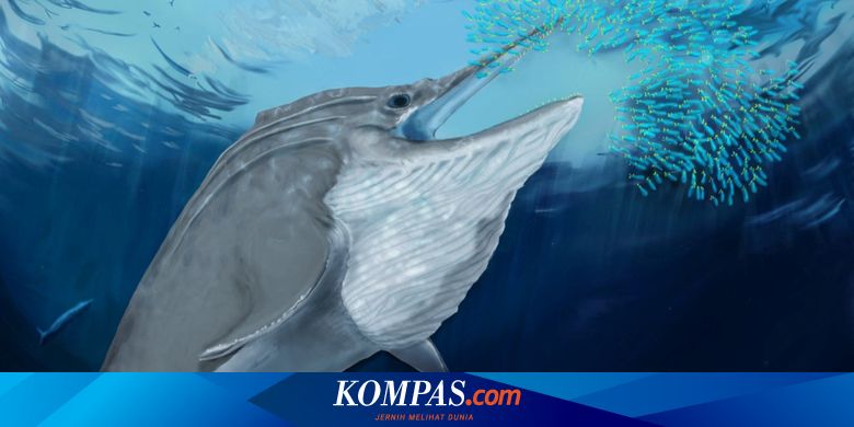 イギリスで発見された体長25メートルの古代魚は世界最大の海洋爬虫類