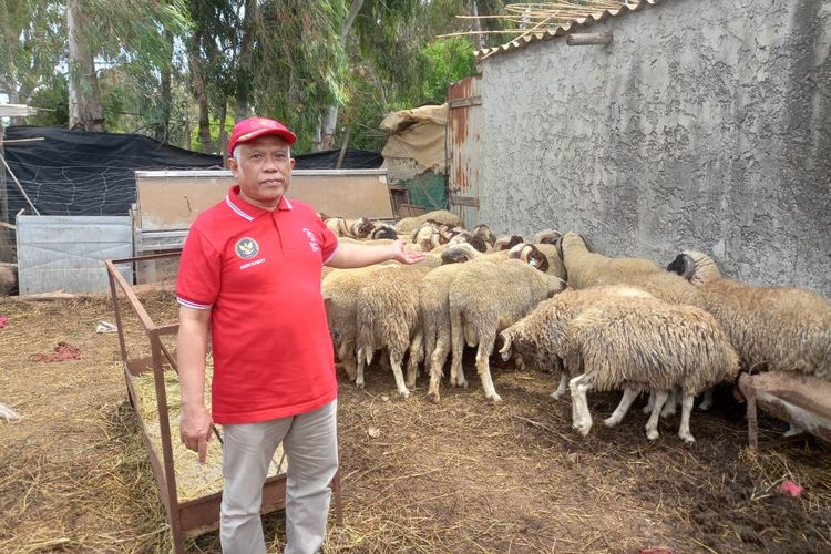 Cerita WNI di Maroko, Idul Adha Semarak Lagi Usai Krisis Panjang