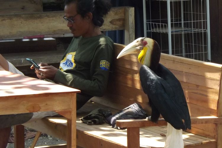 Bikin 37 Spesies Burung Liar Kerasan, Desa Ngulahan Rembang Memikat Akademisi Luar Negeri