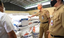 Dukung Bulog Serap Gabah Petani, Ganjar Usulkan Pemerintah Bentuk Kebijakan Baru