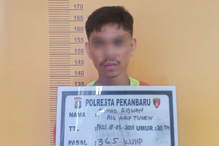 Pelaku jambret, AR (21) saat ditahan di Polresta Pekanbaru, Senin (11/7/2022).
