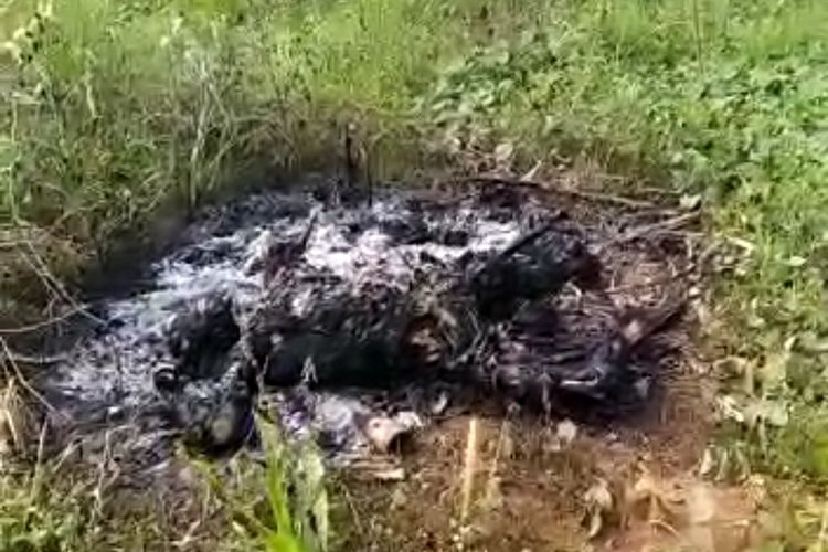 Tangkapan layar video warga temukan jasad hangus terbakar di Cisauk, Kabupaten Tangerang, Jumat (9/7/2021).